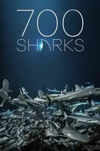 watch-700 Sharks