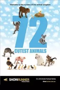 watch-72 Cutest Animals