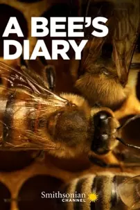 watch-A Bee’s Diary