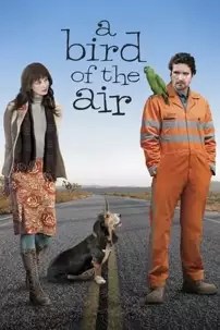 watch-A Bird of the Air