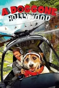 watch-A Doggone Hollywood