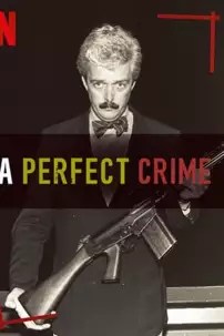 watch-A Perfect Crime