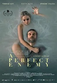 watch-A Perfect Enemy
