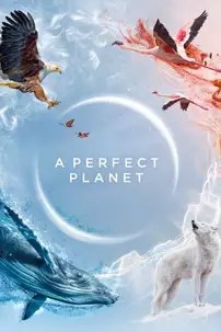 watch-A Perfect Planet