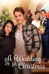 watch-A Wedding for Christmas