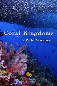 watch-A Wild Window: Coral Kingdoms