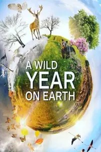 watch-A Wild Year On Earth