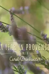 watch-A Year in Provence with Carol Drinkwater