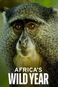 watch-Africa’s Wild Year