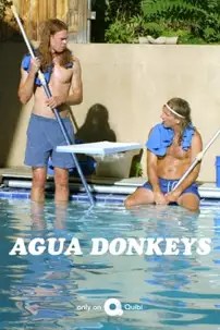 watch-Agua Donkeys