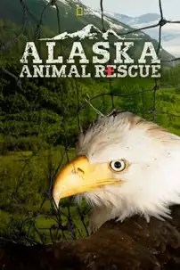 watch-Alaska Animal Rescue