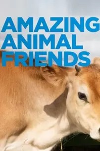 watch-Amazing Animal Friends