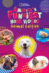 watch-America’s Funniest Home Videos: Animal Edition