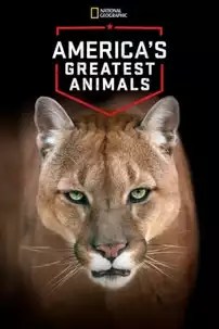 watch-America’s Greatest Animals