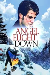 watch-Angel Flight Down