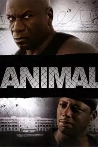 watch-Animal