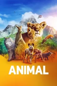 watch-Animal