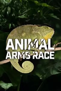 watch-Animal Arms Race