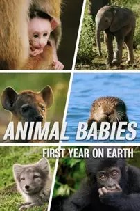 watch-Animal Babies: First Year on Earth