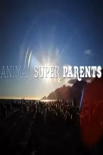 watch-Animal Super Parents