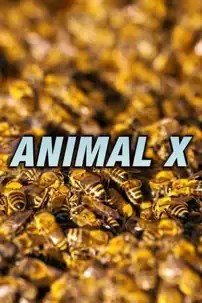 watch-Animal X