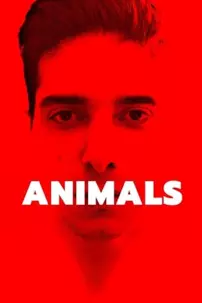 watch-Animals