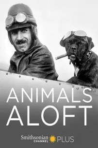 watch-Animals Aloft