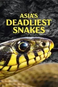 watch-Asia’s Deadliest Snakes