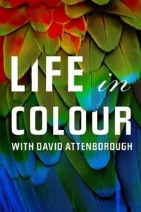 watch-Attenborough’s Life in Colour
