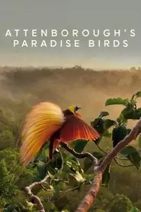 watch-Attenborough’s Paradise Birds
