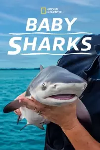 watch-Baby Sharks