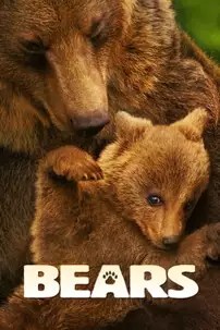 watch-Bears