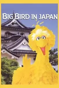 watch-Big Bird in Japan