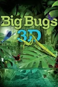 watch-Big Bugs