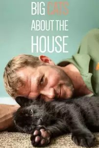 watch-Big Cats About The House