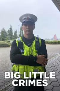 watch-Big Little Crimes