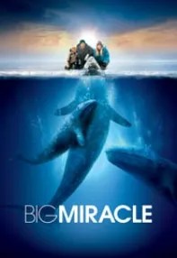 watch-Big Miracle
