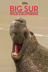 watch-Big Sur-Wild California