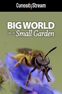 watch-Big World in a Small Garden