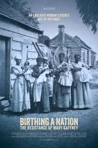 watch-Birthing a Nation: The Resistance of Mary Gaffney