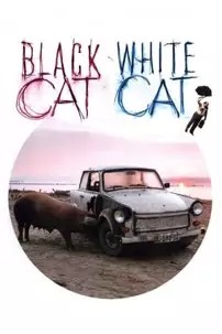 watch-Black Cat, White Cat