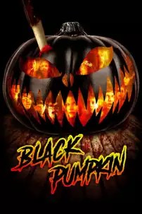 watch-Black Pumpkin