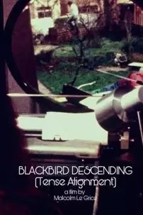 watch-Blackbird Descending – Tense Alignment