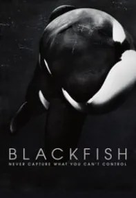 watch-Blackfish