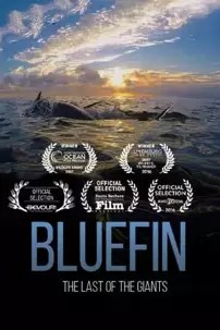 watch-Bluefin