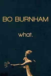 watch-Bo Burnham: what.