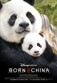 watch-Born in China