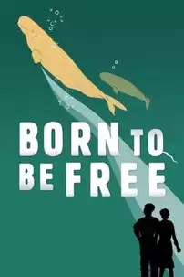 watch-Born to Be Free