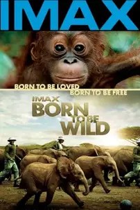 watch-Born to Be Wild