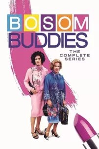 watch-Bosom Buddies